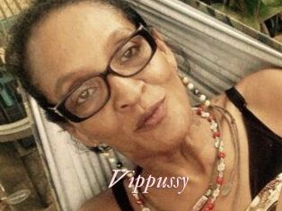 Vippussy