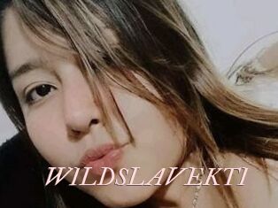 WILDSLAVEKTI