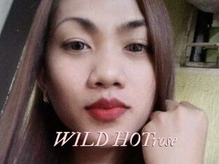 WILD_HOTrose