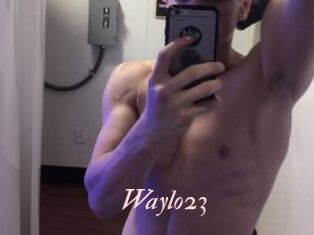 Waylo23