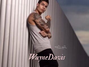 WayneDavis