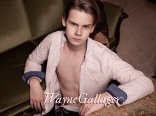 WayneGallager
