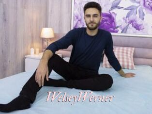 WelseyWerner