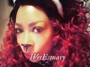 WetEstuary