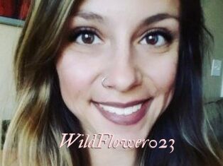 WildFlower023