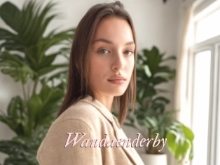 Wandaenderby