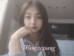Wangzcxiang