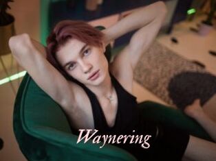 Waynering