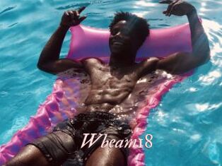 Wbeam18