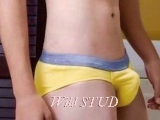 Wild_STUD