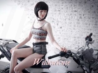 Wildcatcute