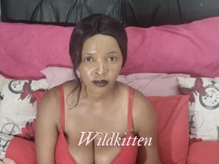Wildkitten