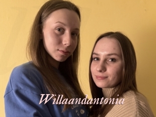 Willaandantonia