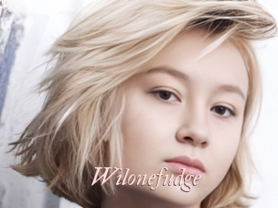 Wilonefudge
