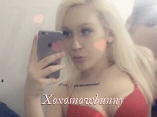 Xoxosnowbunny Leukelol