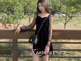 Xiaokea1