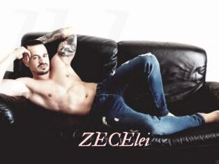 ZECElei