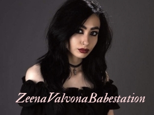 ZeenaValvonaBabestation