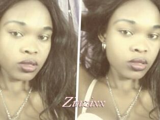 Zinzixx