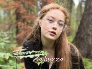 Zadnizza