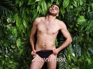 Zanedeyum