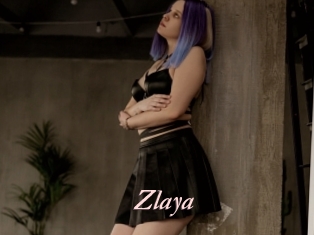 Zlaya