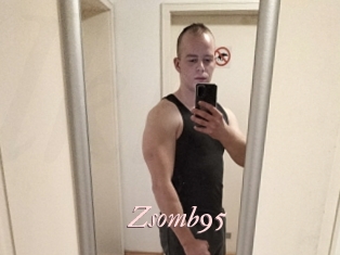 Zsomb95